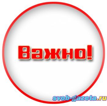 article2439.jpg