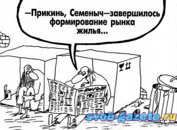 article482.jpg