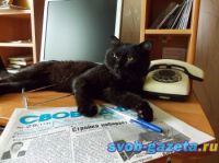 НИ ЧЕСТИ, НИ СОВЕСТИ, НИ ФЛАГА…?