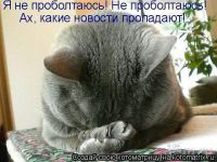 002 - ОФФТОП. Август. 2013