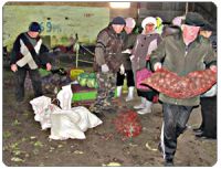 ГУМАНИТАРНАЯ ПОМОЩЬ ИЛИ КОММЕРЧЕСКИЙ ПРОЕКТ?