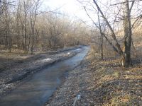 НЕЧИСТОТЫ ПРОДОЛЖАЮТ СТЕКАТЬ В ПОЙМУ ЗЕИ