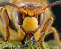 НАСТРОЕНИЯ НАРОДА МЕНЯЮТСЯ. И НЕ В ПОЛЬЗУ МЕСТНОЙ ВЛАСТИ