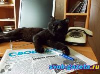 МЕЧТАТЬ НЕ ВРЕДНО