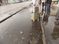 «ГАДЮШНИК» - КАК НОРМА ЖИЗНИ!