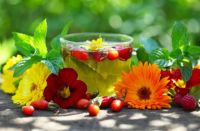 ОФФТОП. Август. 2015. Без политики. А ведь июнь и июль уже фьюить... ;)