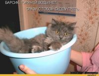 О ВОДОСНАБЖЕНИИ – ХОЛОДНОМ И ГОРЯЧЕМ