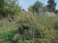 СВАЛКИ И БУРЬЯН – ВИЗИТНАЯ КАРТОЧКА СВОБОДНОГО!