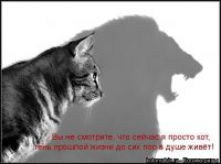 Внимание - потеряшки!