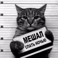 МАРАЗМ КРЕПЧАЕТ